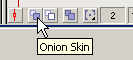 Onion Skin