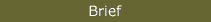 Brief