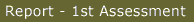 Report First Assessment